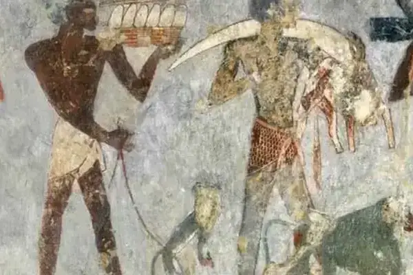 What Did Hatshepsut Do? | Achievements of Egypt’s Queen